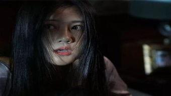 网红惊魂 在线,揭秘网络直播背后的惊悚真相