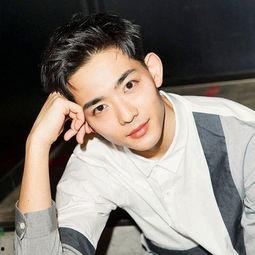 龙星凉背景,从平凡少年到闪耀明星的蜕变之路